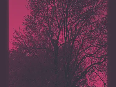 Pink Dawn art colors creative design geometry graphic graphic art graphic design graphics shape shapes simple simplistic vector