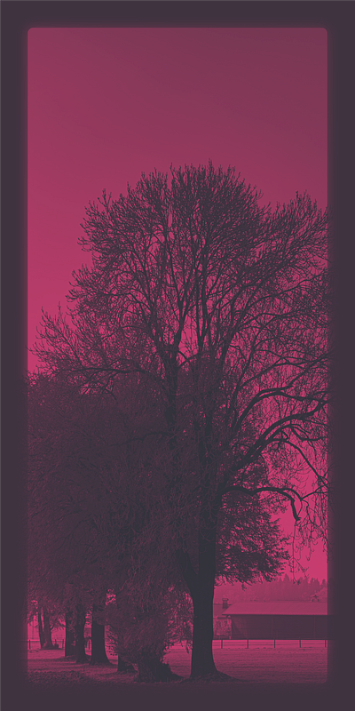 Pink Dawn art colors creative design geometry graphic graphic art graphic design graphics shape shapes simple simplistic vector