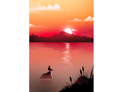 Sunset illustration