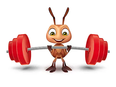 Formica Bilanciere ant barbell big bodybuilding gym red small sport weights