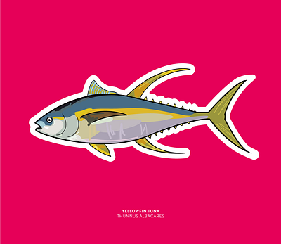 Sticker | Yellowfin Tuna colourful design design graphic design illustration illustrator print design sticker sticker design vector