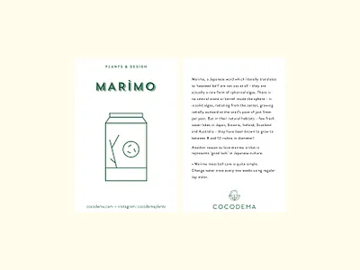 Plant Care Card botanical brand identity card design care card cocodema gardener green logo illustration japanese art japanese plant marimo minimalism plant plant brand plant illustration planter planting seaweed simple logo vector illustration