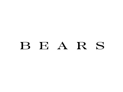 Bears branding custom logotype typography visual identity