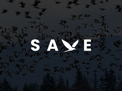 Save Birds logo abstract design app apps bird logo brand identity branding clean concept creative graphicdesign icon logo logodesign logotype minimal save birds logo save logo trends 2021 typography wildlife logo