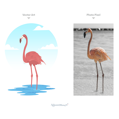 Vector art Flamingo Bird branding design illustration illustrator logo outline icon outline illustration typography ui vector