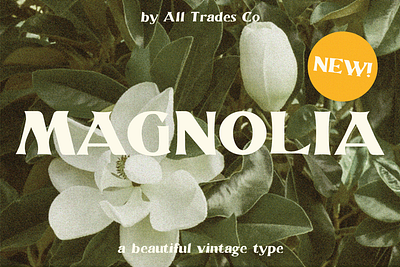 Magnolia Typeface font font design typography vintage font