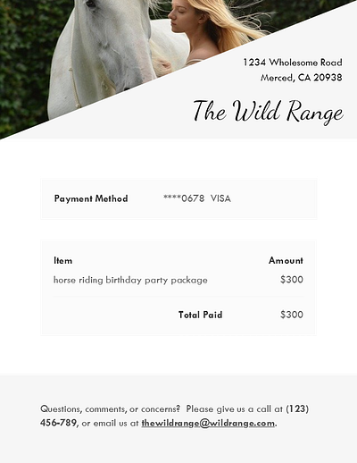 Email Receipt - DailyUI Challenge #017 dailyui dailyui 017 dailyuichallenge email receipt ui