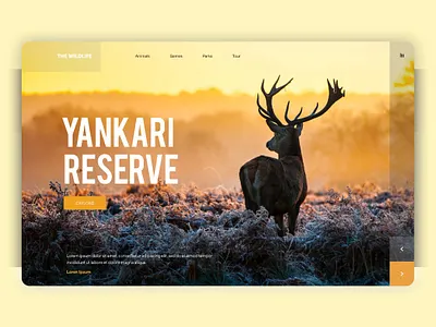 THE WILDLIFE CASE STUDY UI/UX DESIGN