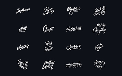 Lettering logofolio vol 1 apparel branding brush calligraphy clothing design fashion hand lettering handlettering label lettering logo logotype mark packaging script sketch type typography