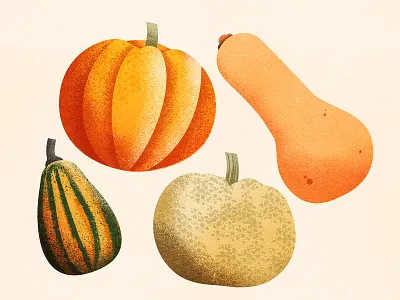 Pumpkin, Gourds and Winter Squash autumn drawing food gourd gourds grain health illustration illustrations pumpkin squash texture vegetables winter