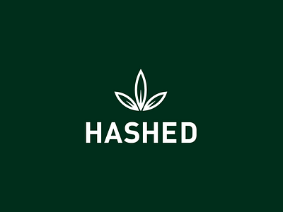 Hashed - brand identity animation brand designer brand identity brand identity designer branding branding and identity cannabis cannabis branding cannabis design cannabis logo flower flower logo hashed identity logo animation logo design logo designer logo mark logo marks marijuana logo