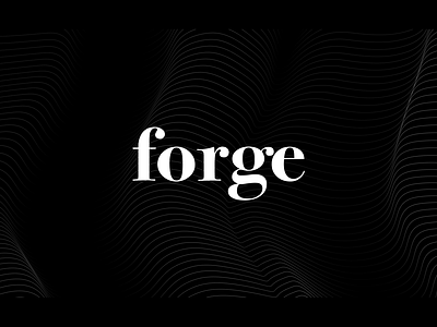 I joined Forge! agency branding design studio design team logo design product design studio team typography
