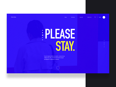 Please Stay blue design ui ux web white