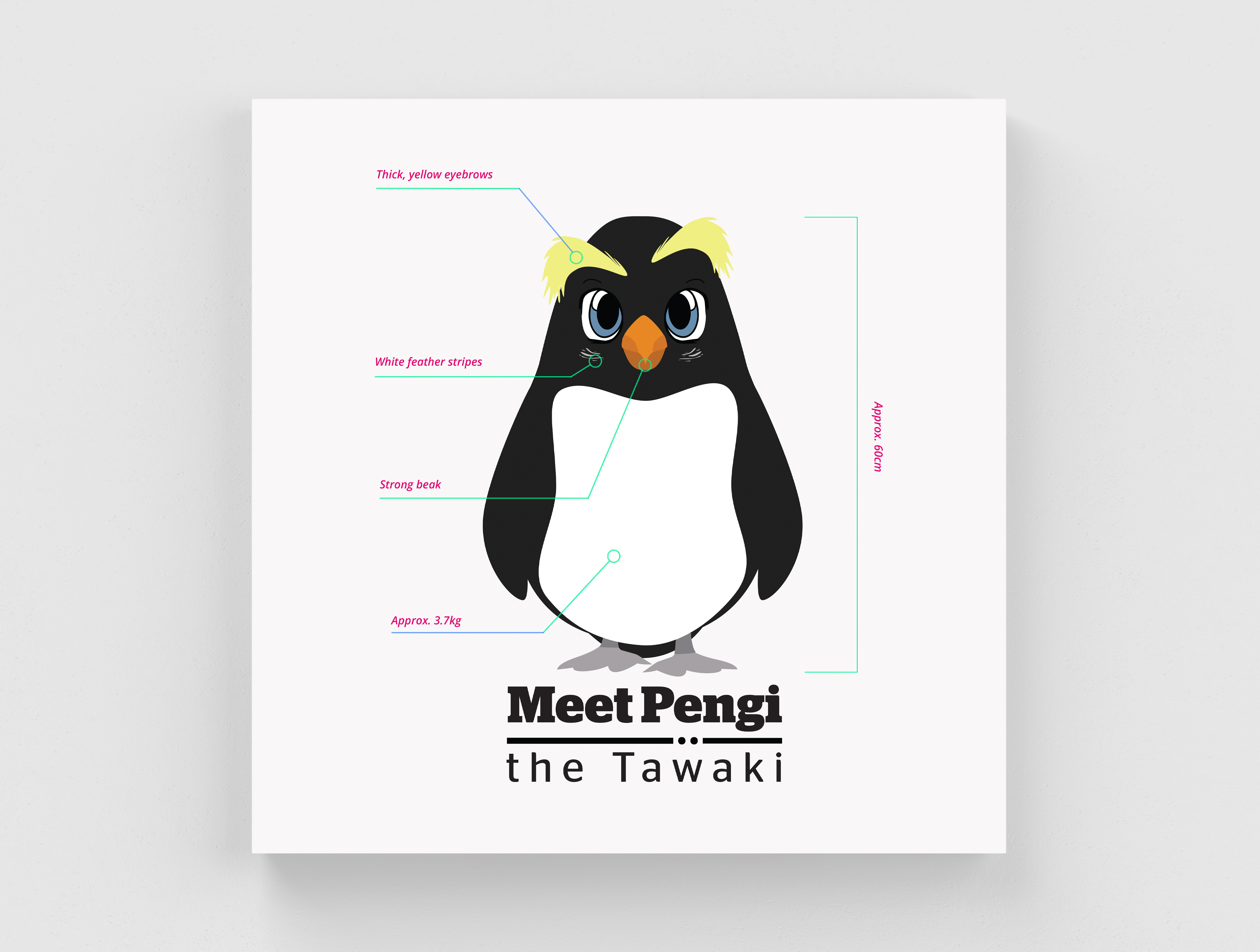 Example of Pengi Rebranding