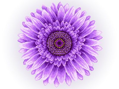 Pixel Art colors design flower flower illustration gradient graphicdesign illustration illustration art pixelart pixelartist pixels violet
