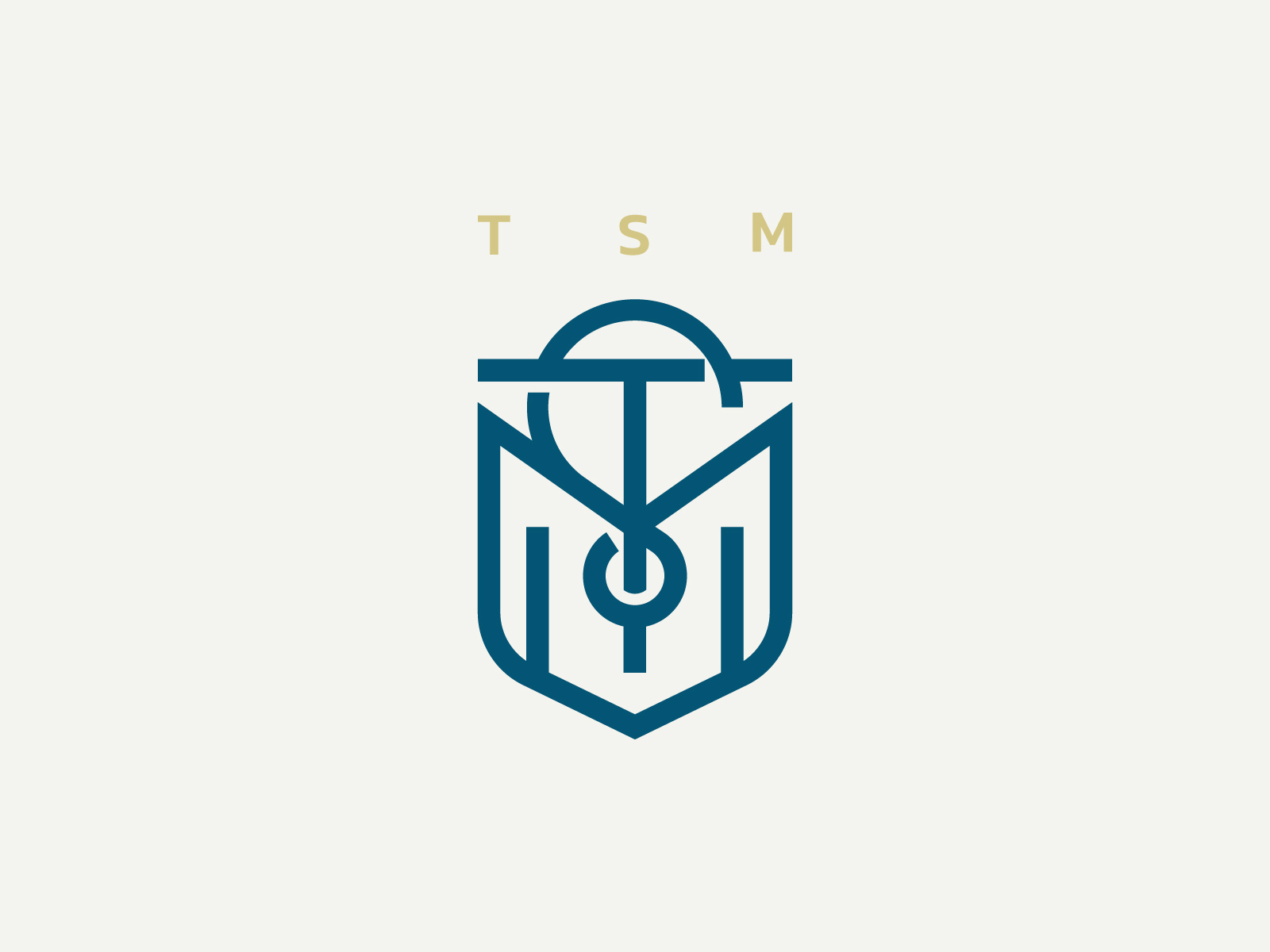 Tsm Logo Wallpaper | 2560x1440 | ID:55948 - WallpaperVortex.com