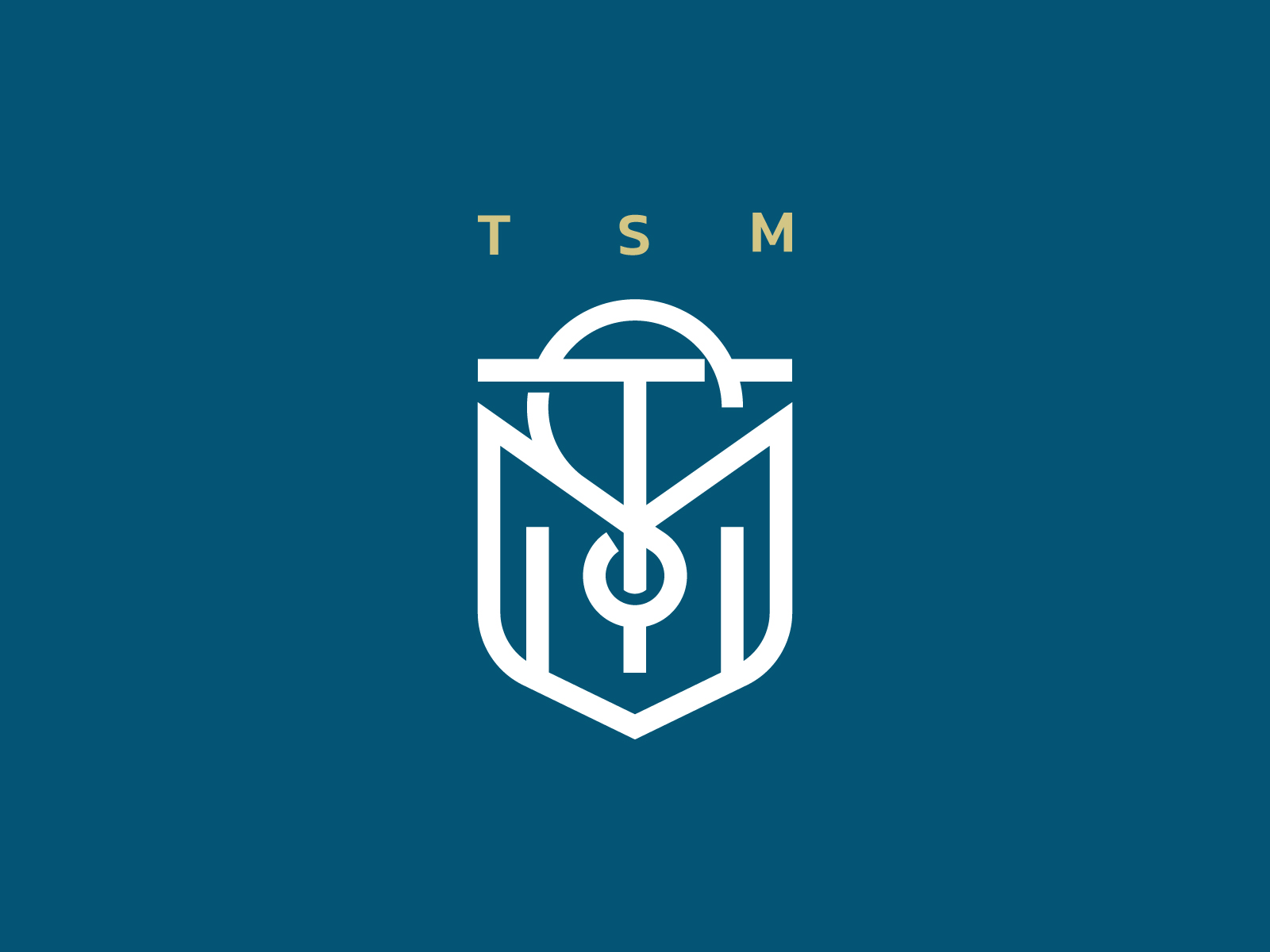 Logo TSM