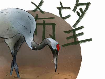 Red-crowned crane animal crane drawing illustration japan kanji procreate