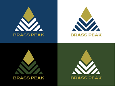 Brass Peak Brand Identity badge badges brand identity identity design logo logos ski ski resort