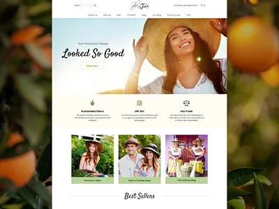 Tula Hats web web design website website design