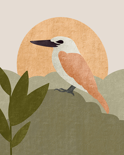 Birdie bird bird illustration birds digital illustration digitalart jungle tropical