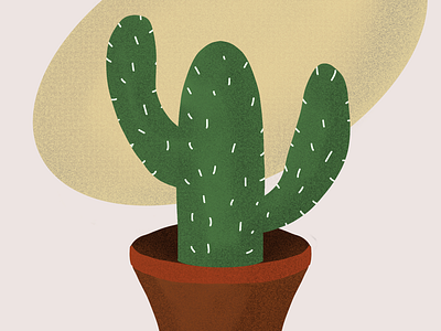 Cactus