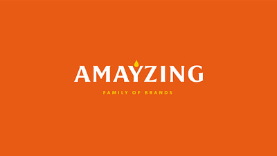 Amayzing Family of Brands | Brand Identity (SnellBeast at BLDG) brand identity branding design graphic design illustration illustration art logo