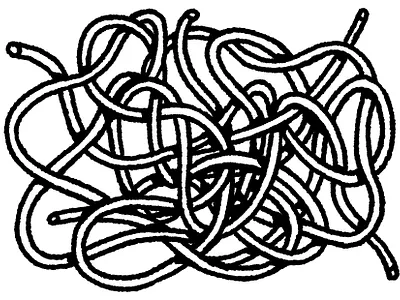 Nó 2d digital flat illustration line procreate