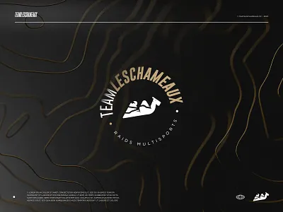 New identity - Team Les Chameaux 3d branding camel identity logo logotype team
