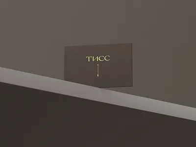 Tiss 3d arrow branding clinic design graphic design logo logoped logotype mark medicine russia symbol tiss woman