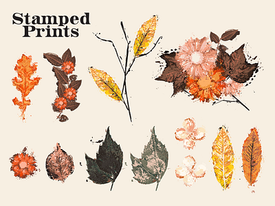 Stamped Prints of Leaves & Flowers botanic collection color color palette design fall floral flower handmade illustration ink inspiration leaf plant print stamp stamped texture vector