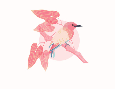 The Plucky in Pink art bird illustration illustration