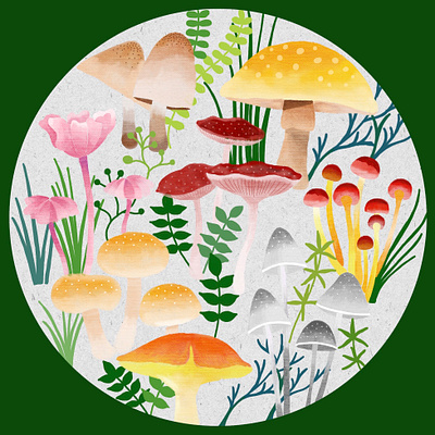 Mushrooms illustration