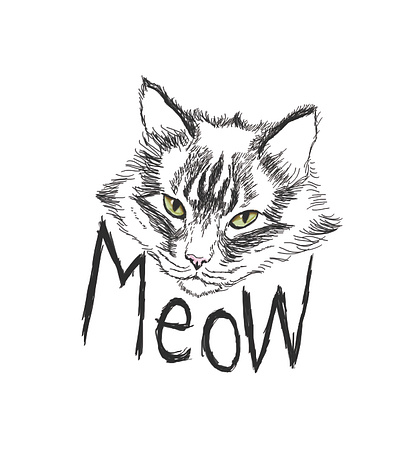 Meow animal cat character creative design digitalart hand drawn handlettering illustration photoshop print typography wacom