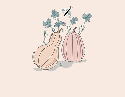 Squash and vines art design graphic design illustration pumpkins vector