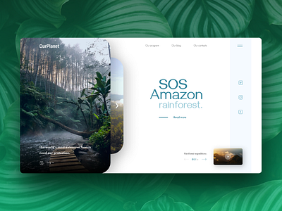 Amazon rainforest concept forest rainforest ui design web design website