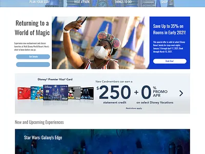 Theme Park branding design disney photoshop xd theme park ui ux web design