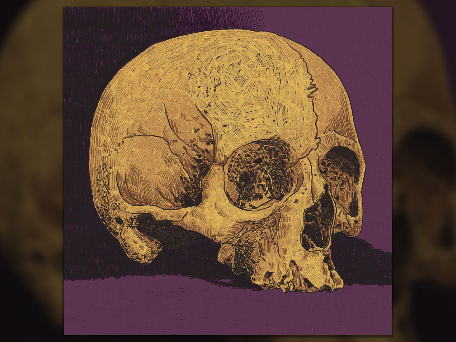 05/28/2022 - Skull study apple pencil crosshatching digital illustration digital pencils human skull illustration ipad sketch lucy procreate skull textured tgts chromagraph pencil brushes tgts deutsche kolorist toothy tgts the carpenter true grit texture supply