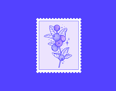 stamp 2 | Blueberries brand identity design graphic design illustration illustrator lineart