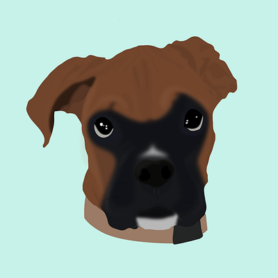 Manny animal boxer design dog graphicdesign illustration puppy vector