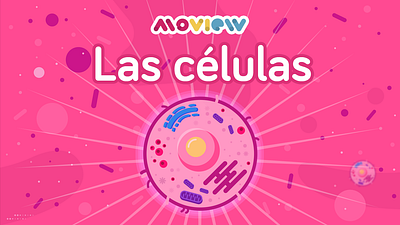 Cell aftereffects animación animation design illustration illustrator mexico moview