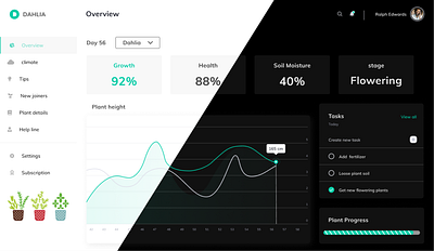 Dashboard dashboad design minimal plants typography ui ux