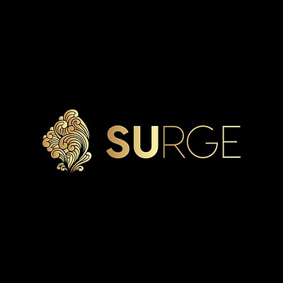 Surge Digital Agency freelancer offshore outsourcing virtual assistant