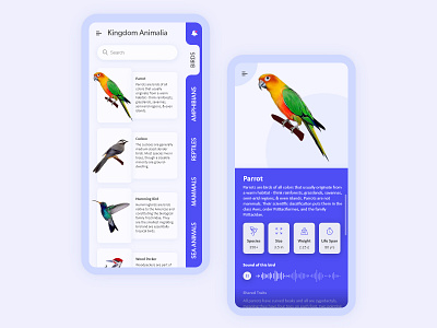 Kingdom Animalia amphibians birds clean ui cuckoo hamming bird mammals minimalist mobile app nature parrot logo reptiles sea animals ui uidesign uxui wood pecker