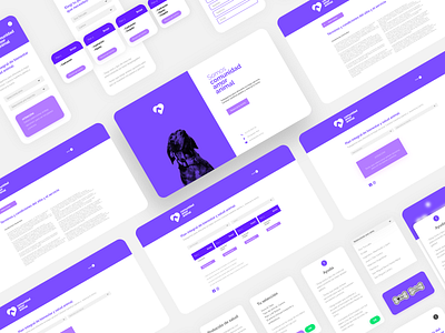 Comunidad Amor Animal app branding graphic design ui ux web