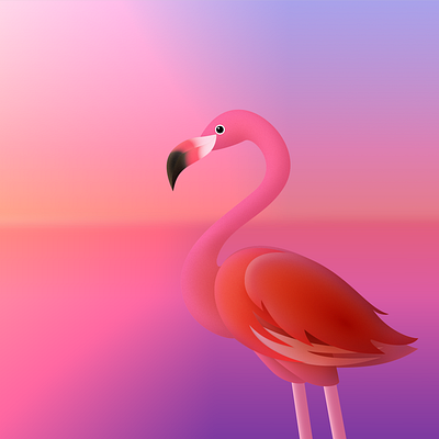 Flamingo illustration vector wallpaper