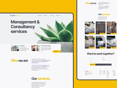 Management & Consultancy services business clean ui consulting design flat management minimalism typography ui user interface ux web website