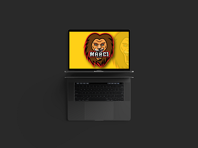 Mascot logo design graphic design illustration mascot logo vector