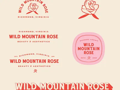 Logo Marks for Wild Mountain Rose branding design illustration logo pastels richmond typography virginia