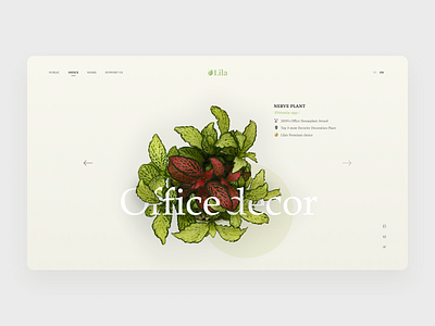 Decoration plants Landing page Concept clean ui concept landingpage plants showcase ui ux webdesign